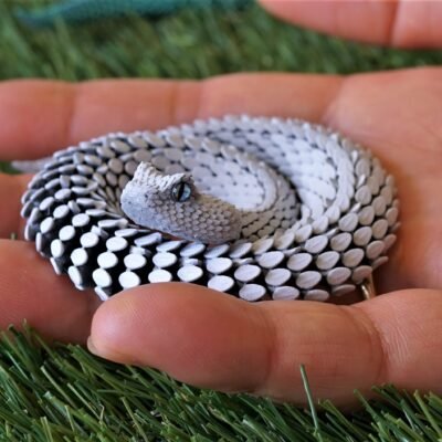 Articulated Snake Figure Toy Animal